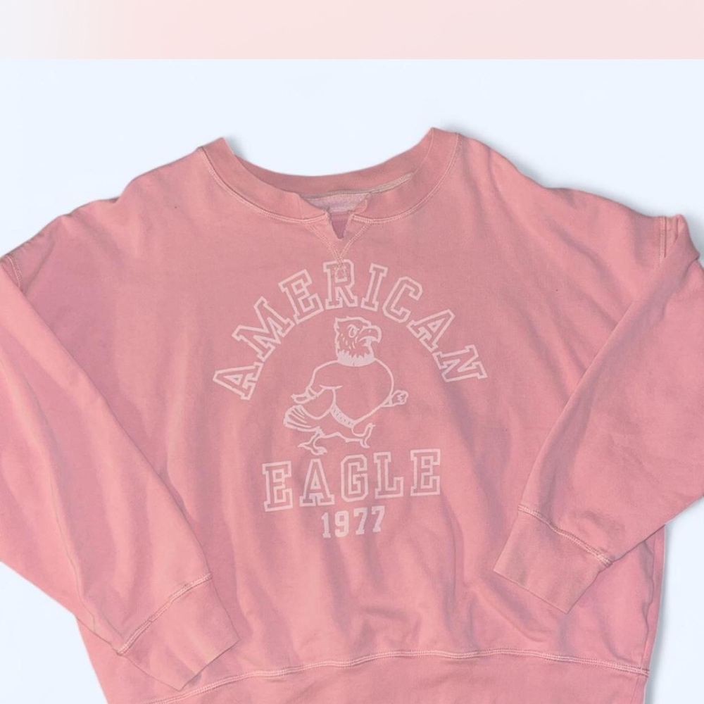 American Eagle Outfitters Pink Graphic Sweatshirt